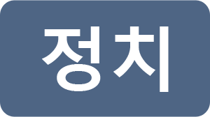 정치